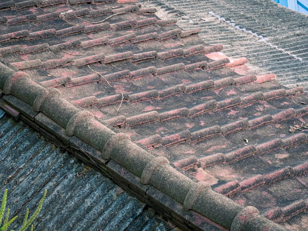 Read more about the article Roof Damages That You Don’t Take Seriously But You Should