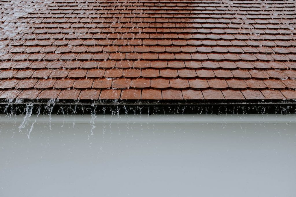 Read more about the article A Step-by-Step Guide to DIY Roof Inspection