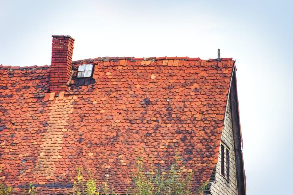 Read more about the article Rooftop Revelations: What to Expect During a Roof Replacement Process